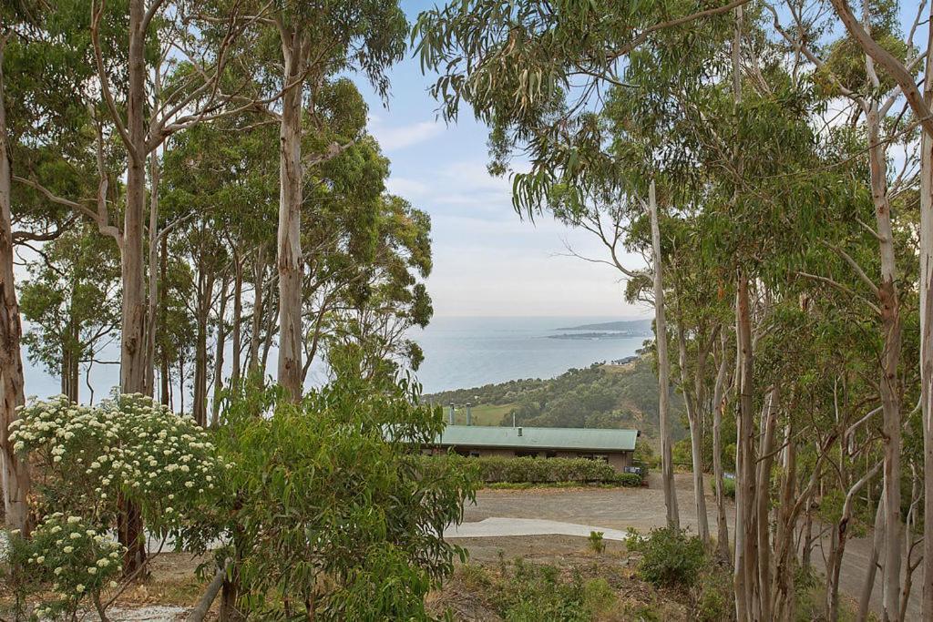 Beacon Point Ocean View Villas Skenes Creek Exterior photo